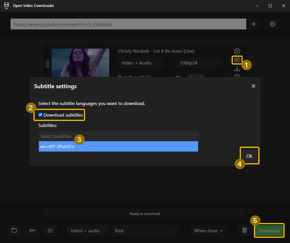 ../_images/open-video-downloader-subtitles.png